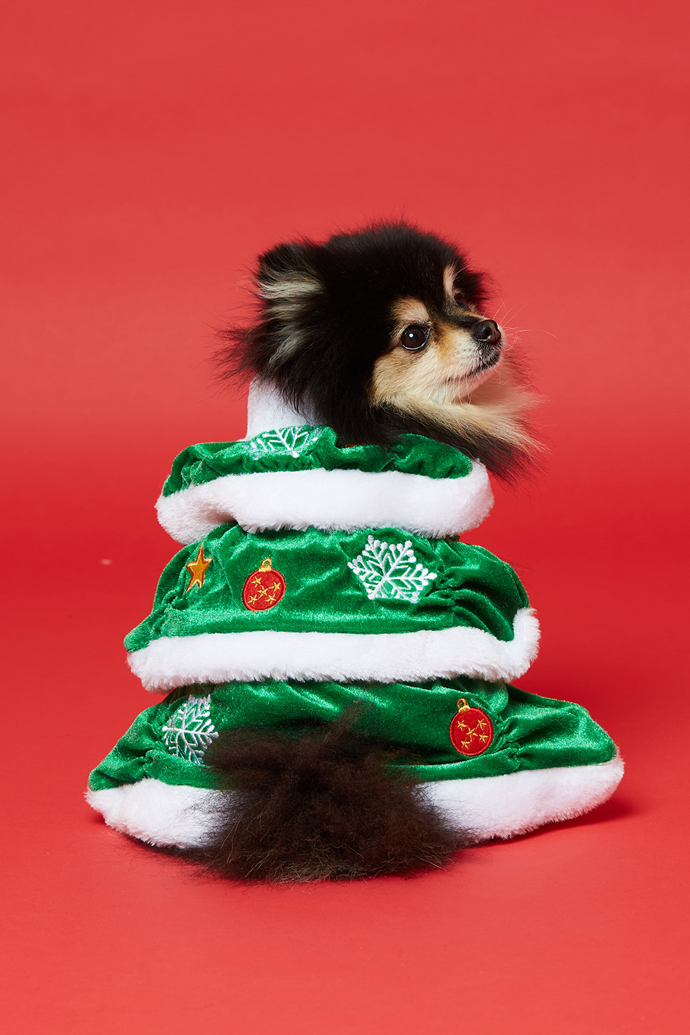 Trøje til kæledyr med juletræ i gruppen Jul / Christmas Pet hos Glitter (17800018)