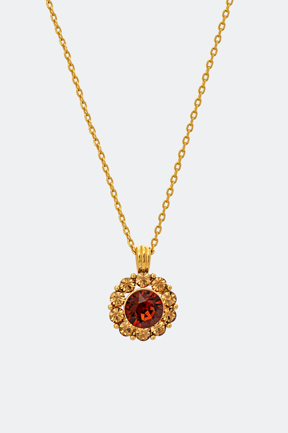 Sofia necklace - Amber (Gold) i gruppen Lily and Rose - Halskæder hos Glitter (254000104502)